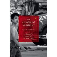 The Accidental Capitalist