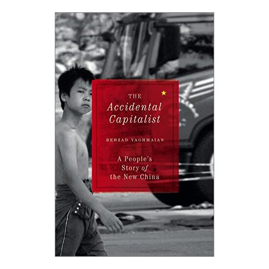 The Accidental Capitalist