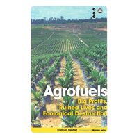 Agrofuels Big Profits Ruined Lives And Ecological Destruction