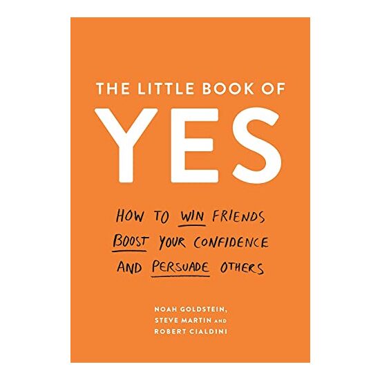 Little Book of Yes