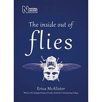 INSIDE OUT OF FLIES.