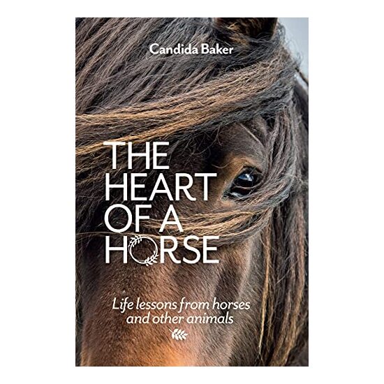 Heart of a Horse