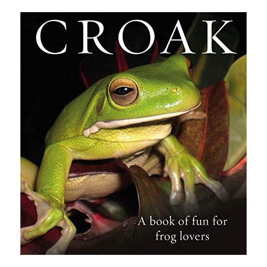 Croak - Imagine 1