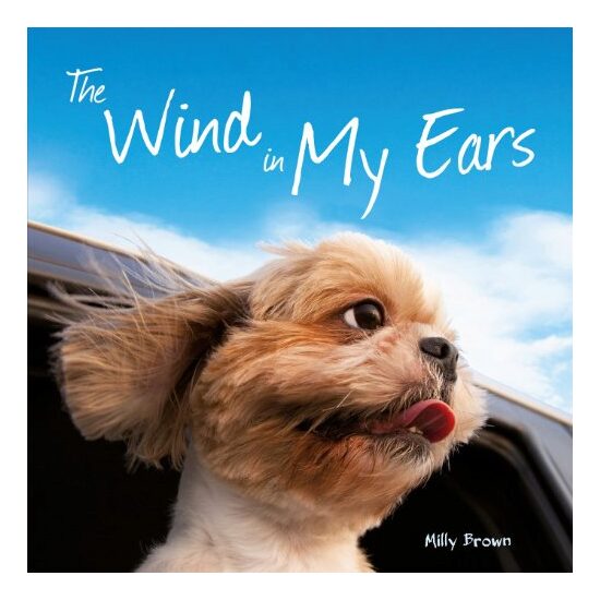 The wind in my ears - Imagine 1
