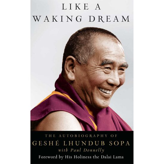 Like a Waking Dream