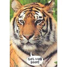 Cards Tiger Get Well Soon - Imagine 1