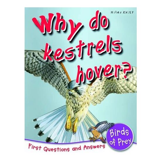 Why do kestrels hover?