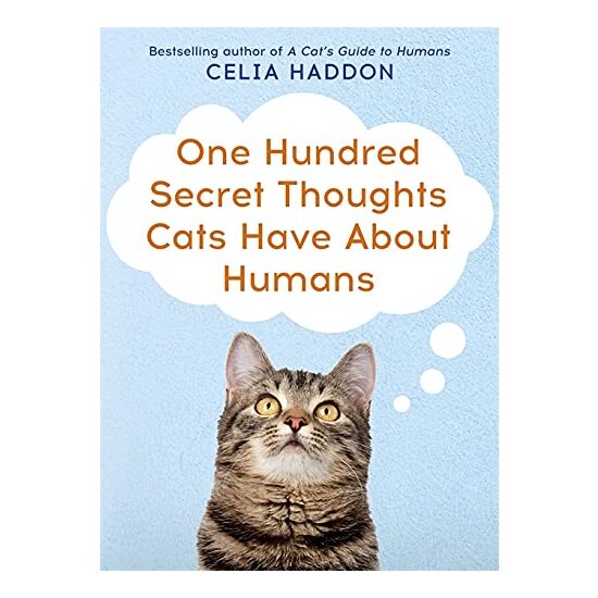 One Hundred Secret Thoughts Cats Have About Humans