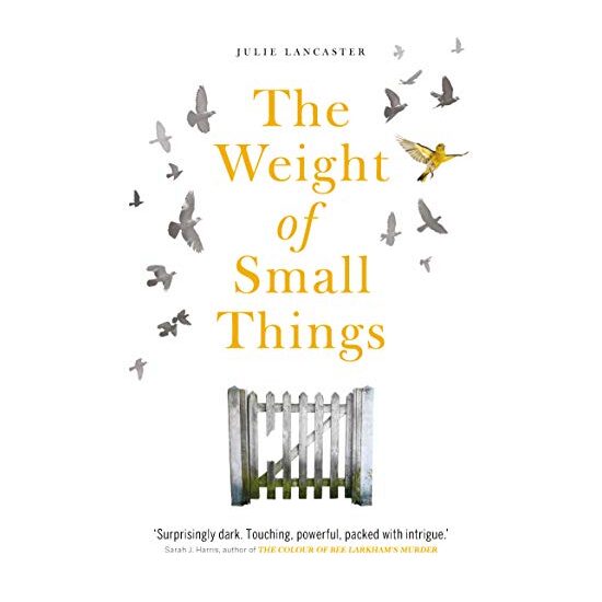 The Weight of Small Things - Imagine 1
