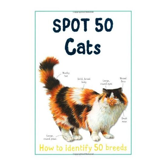 Spot 50 Cats
