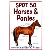 Spot 50 Horses Ponies