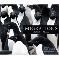 Migrations