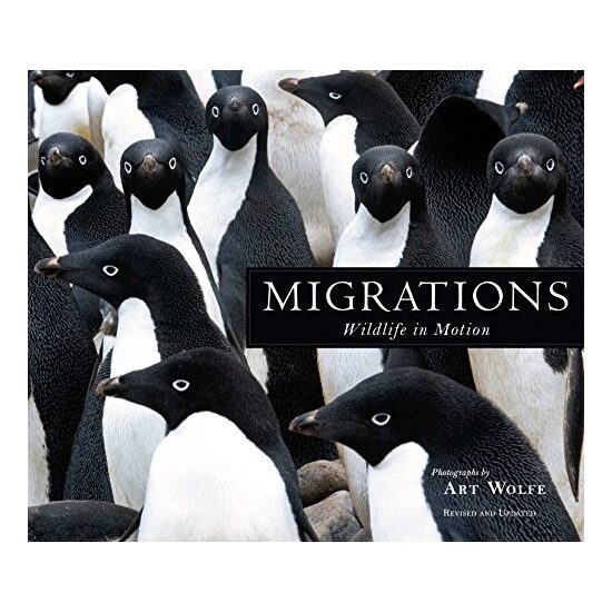 Migrations