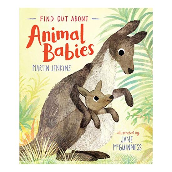 Find Out About ... Animal Babies
