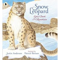 Snow Leopard Grey Ghost of the Mountain