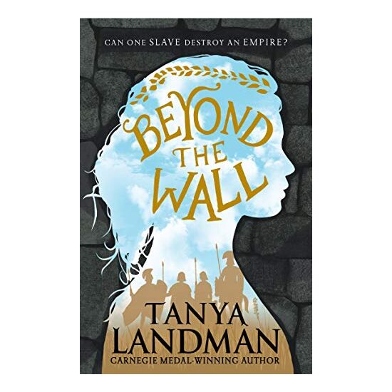 Beyond The Wall, Tanya Landman - Imagine 1