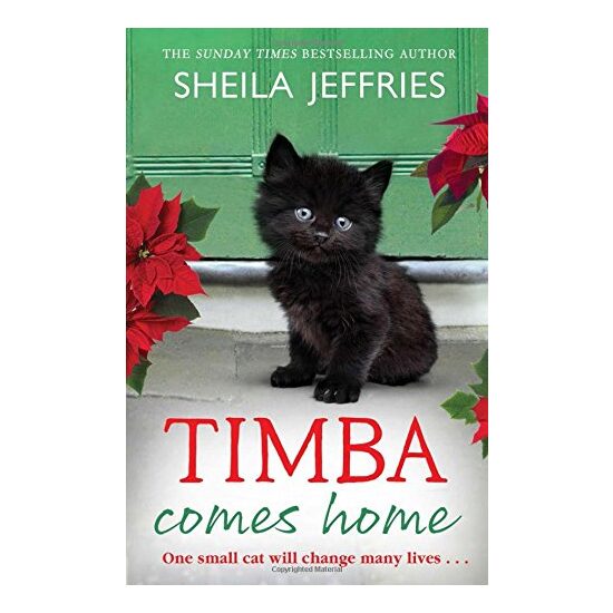 Timba Comes Home - Imagine 1