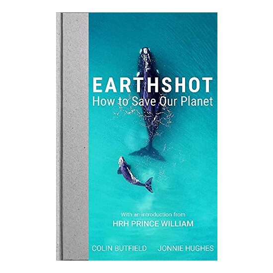 Earthshot - Imagine 1