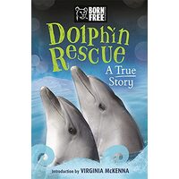 Dolphin Rescue