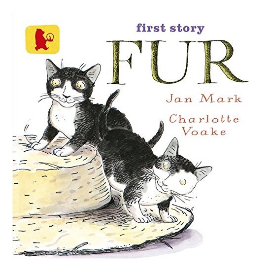 Fur