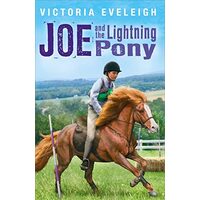 Joe And The Lightning Pony A Boy And His Horses