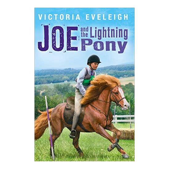 Joe And The Lightning Pony A Boy And His Horses