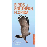 Birds of Southern Florida