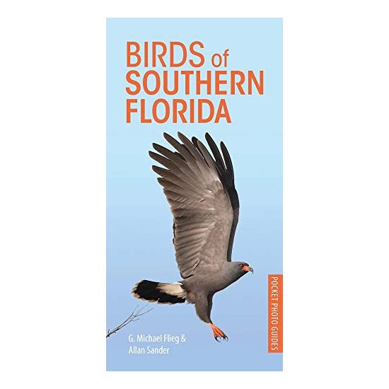 Birds of Southern Florida