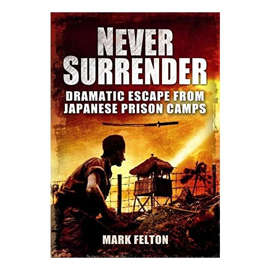 Never Surrender - Imagine 1