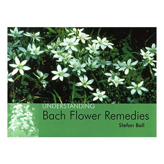 Understanding Bach Flower Remedies