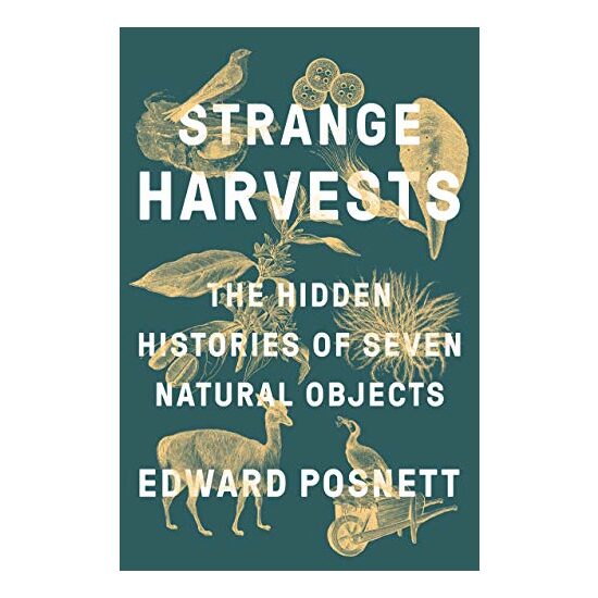 Strange Harvests - Imagine 1