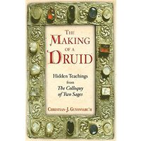 The Making of a Druid, Christian J. Guyonvarc'h