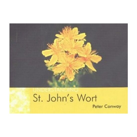 Understanding St Johns Wort - Imagine 1