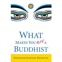 What Makes You Not a Buddhist 