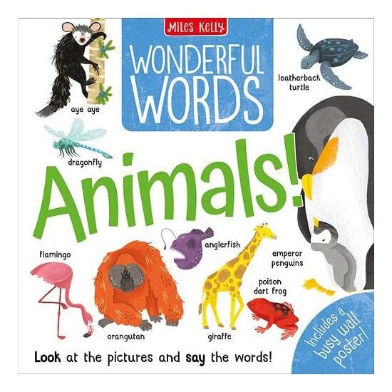 C48HB Wonderful Words: Animals! - Imagine 1