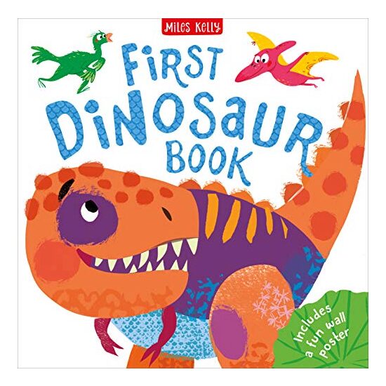 First Dinosaur Book