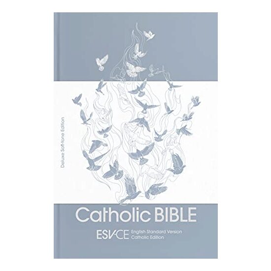 ESV-CE Catholic Bible, Anglicized Deluxe Soft-tone Edition
