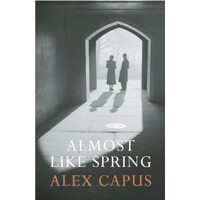 Almost Like Spring A Novel