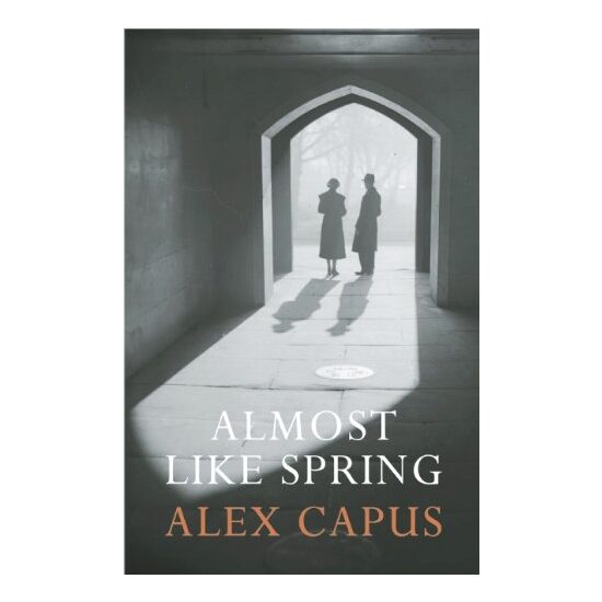 Almost Like Spring A Novel - Imagine 1