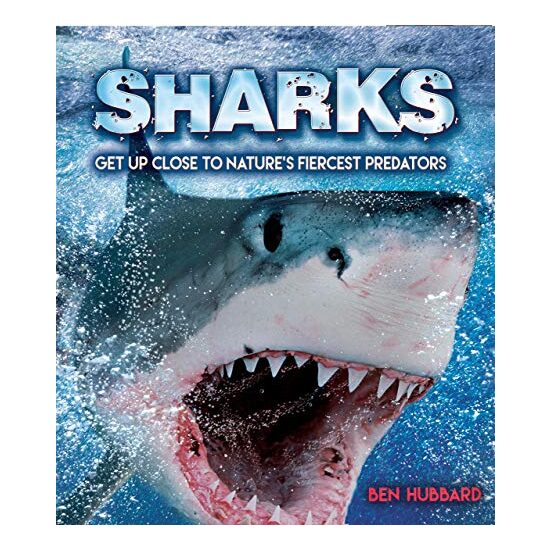 Sharks