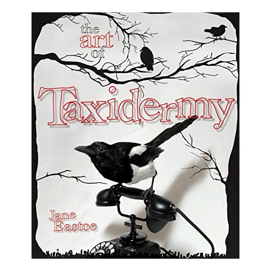 The Art of Taxidermy