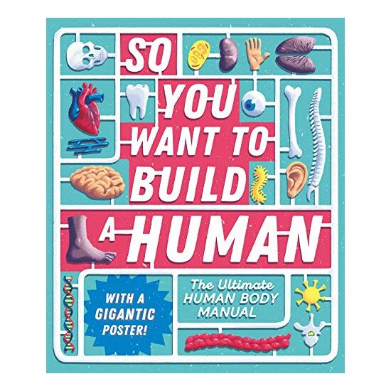 So You Want to Build a Human?