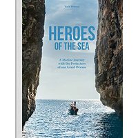 Heroes of the Sea - defect
