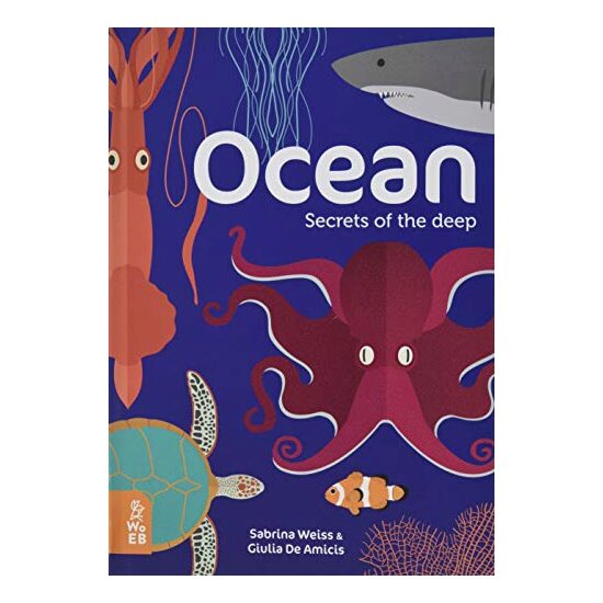 Ocean - Imagine 1