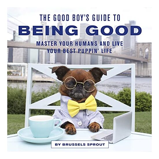 Good Boy's Guide to Being Good - Imagine 1