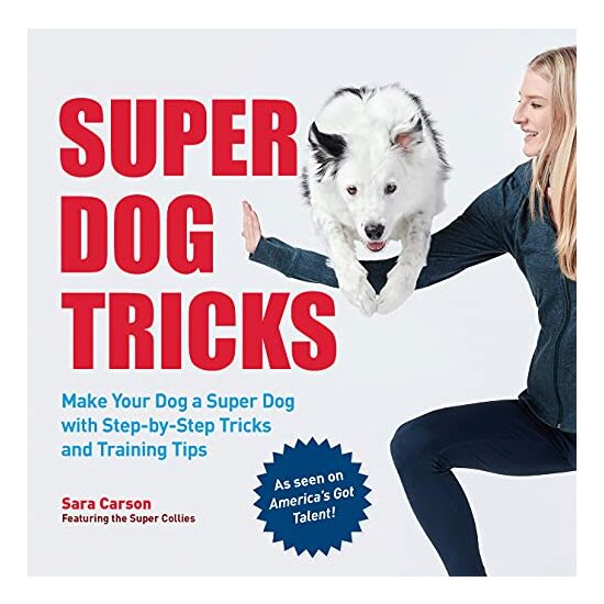 Super Dog Tricks