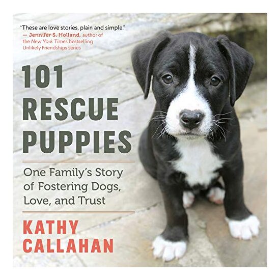 101 Rescue Puppies - Imagine 1