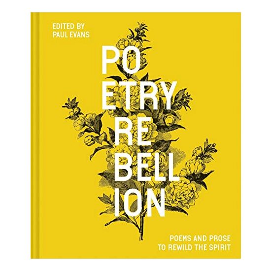 Poetry Rebellion - Imagine 1