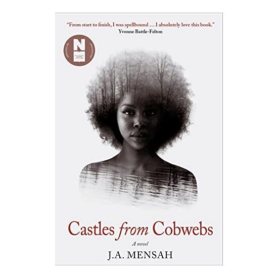 Castles from Cobwebs - Imagine 1