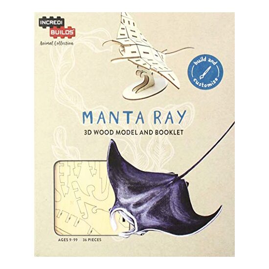 Manta Ray - Imagine 1